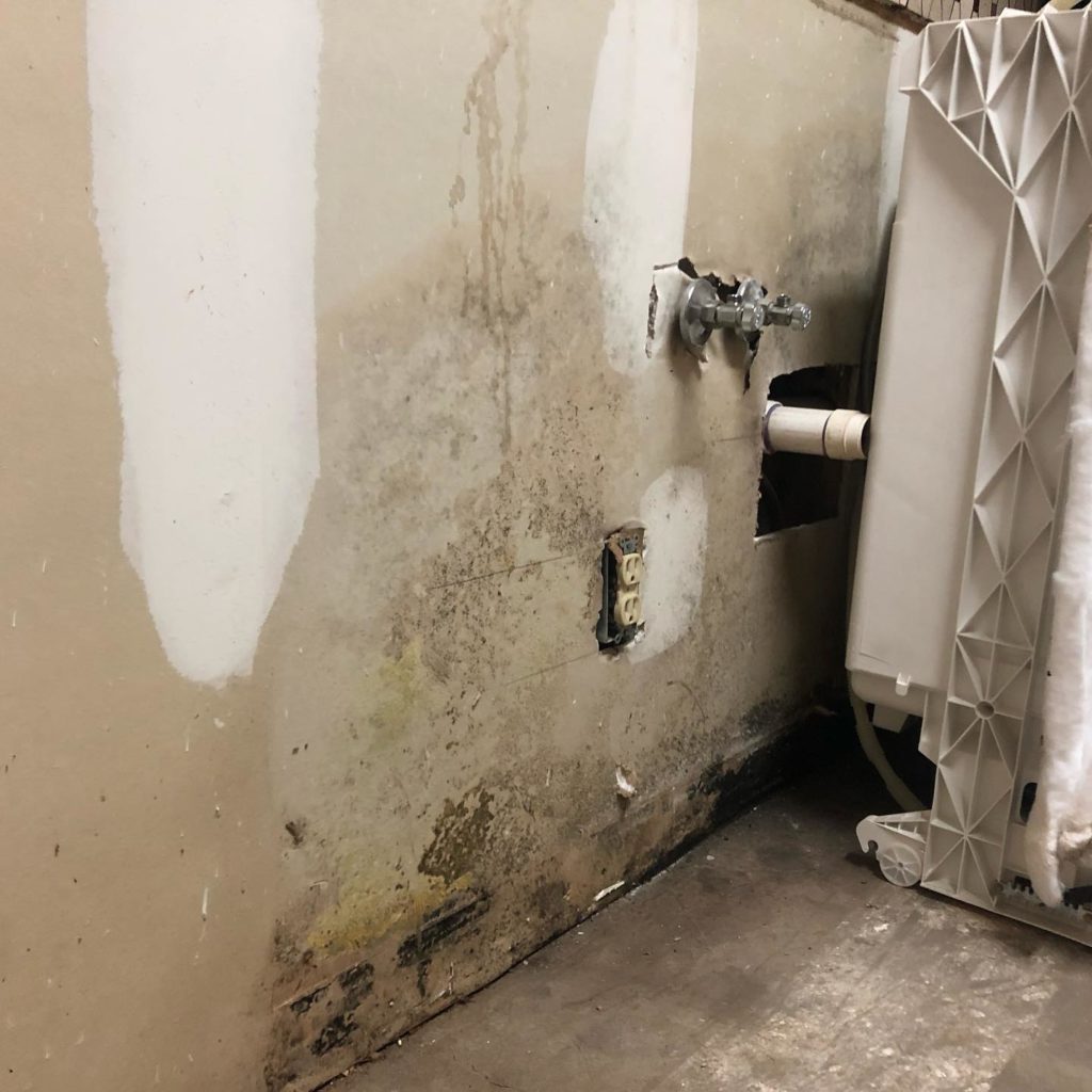 Mold damage, water damage, microbial growth